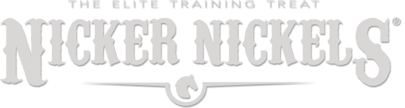 The elite training treat - Nicker Nickels